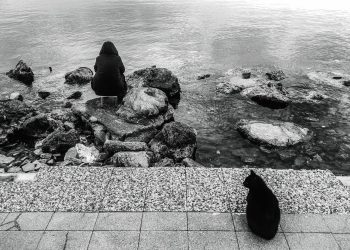 Fotoğrafçı Mesut Demirci