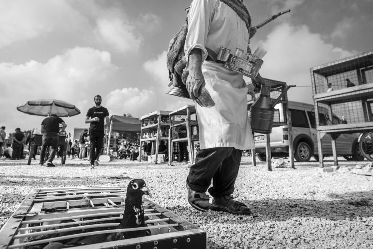 Fotoğrafçı Haluk Akbaş